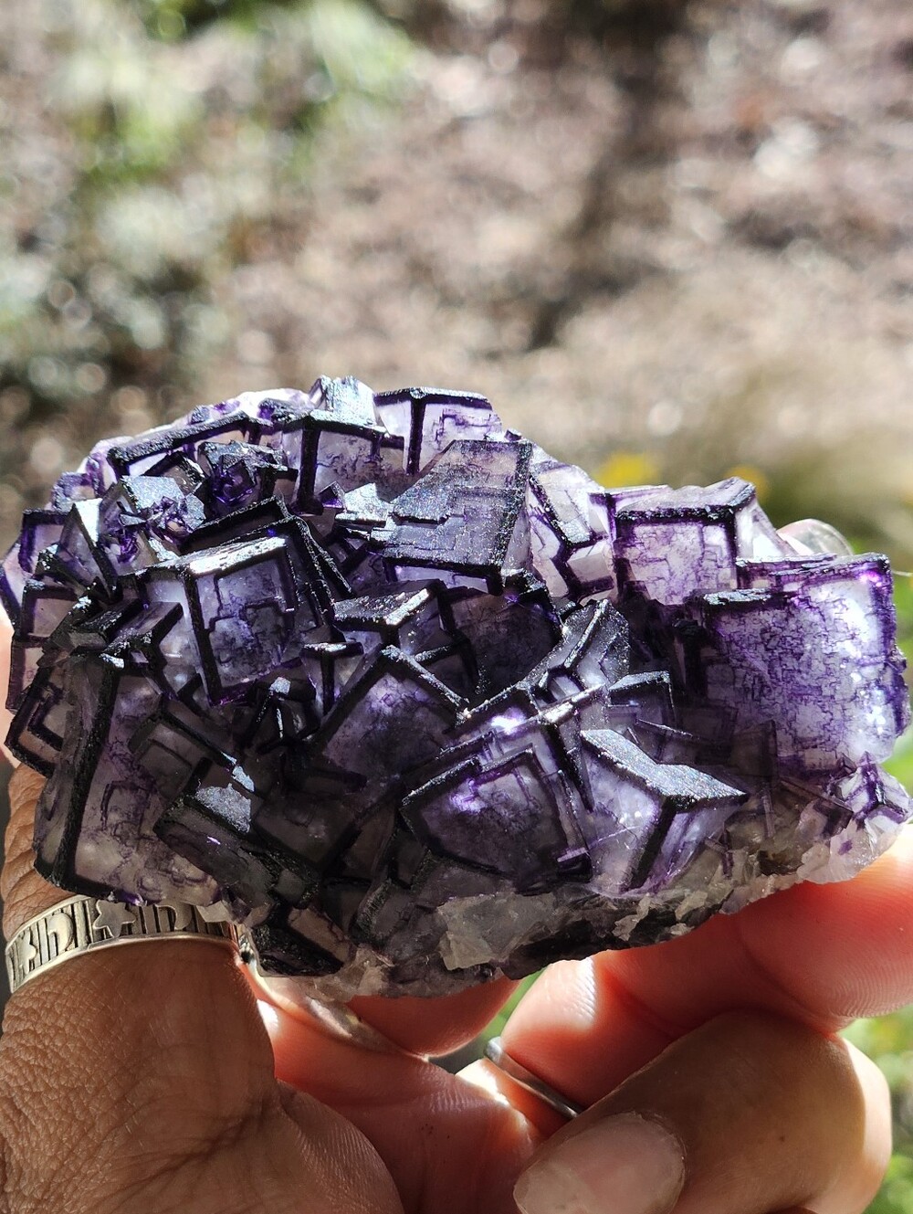 RARE 'Picture Frame' Fluorite- Chinese